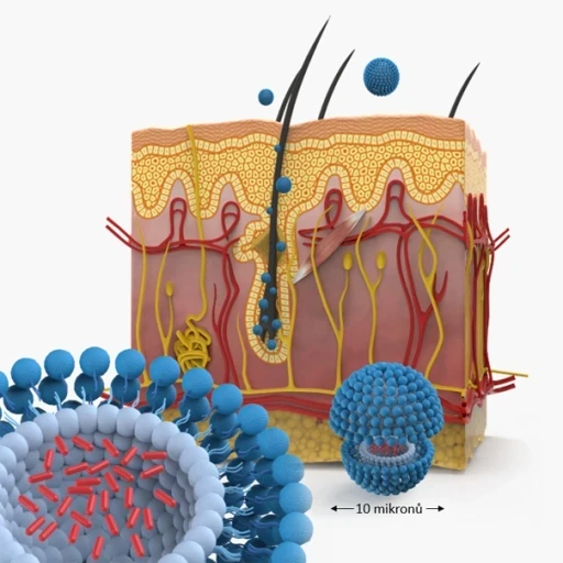 nanosom-technology-aurio-1-1-ec8